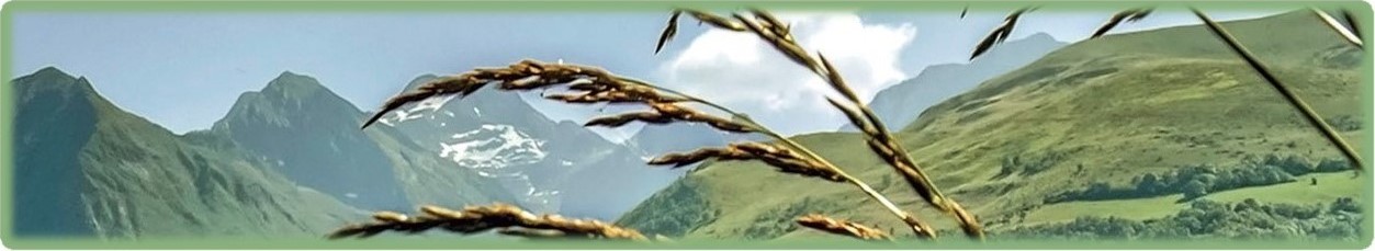 as